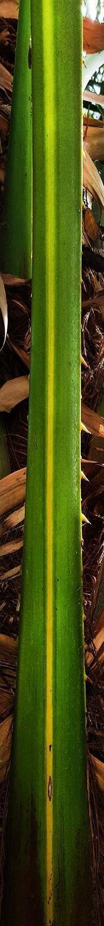 Villa Interior Design 3D model_37