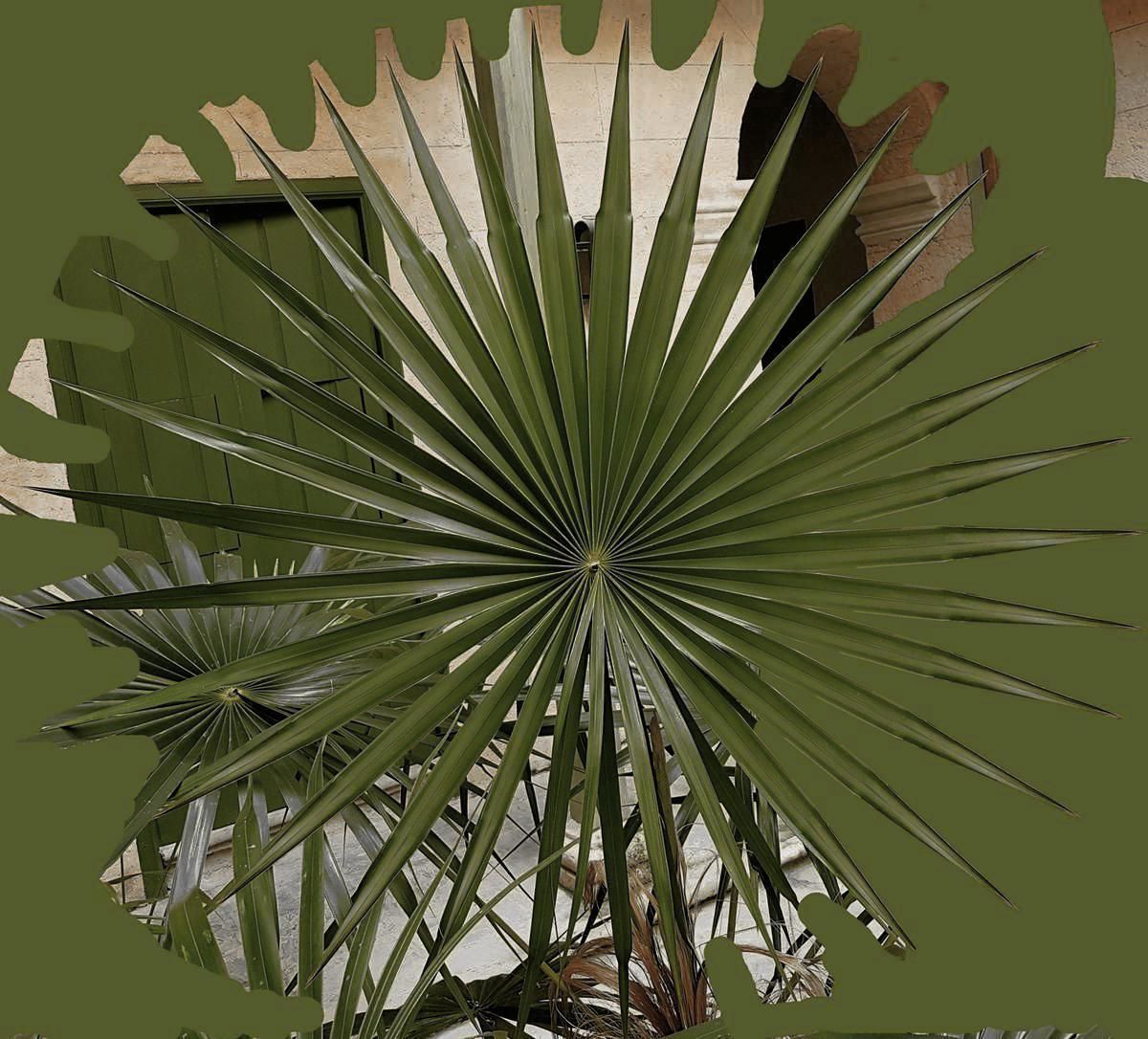 Villa Interior Design 3D model_36