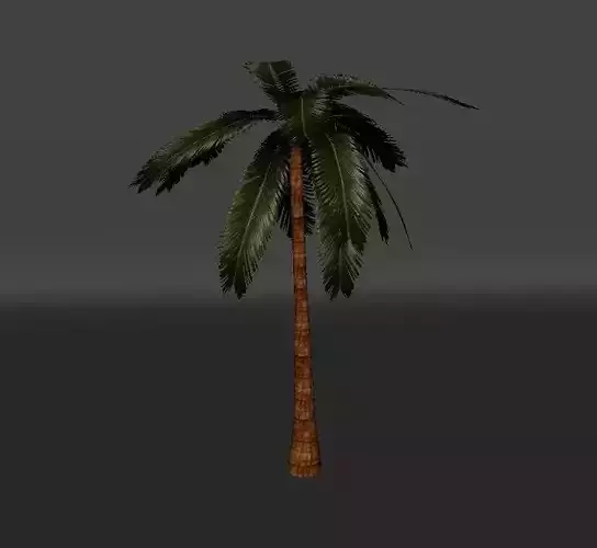 Rigged Palm Tree