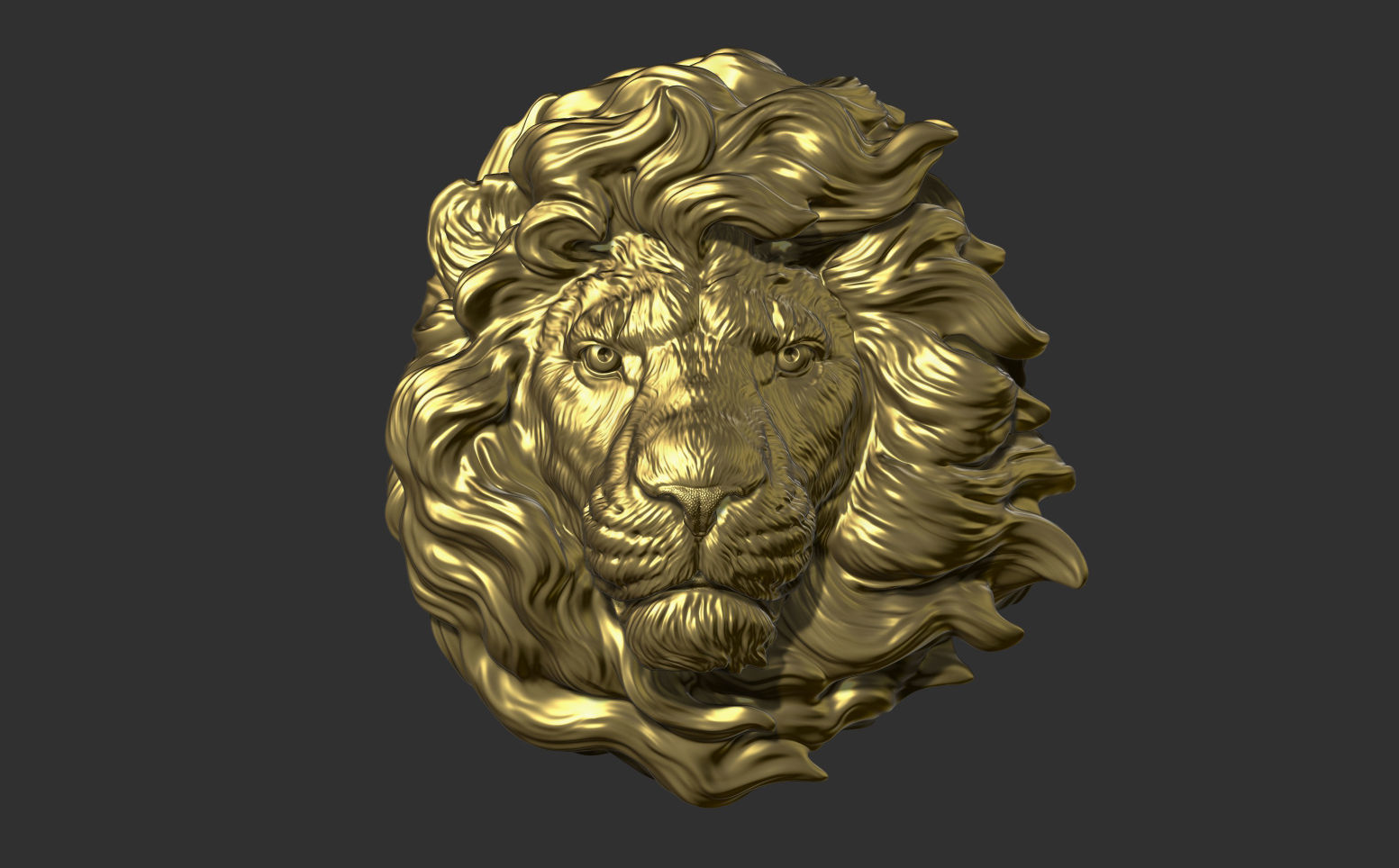 Lion head without a grin 3D print model_14