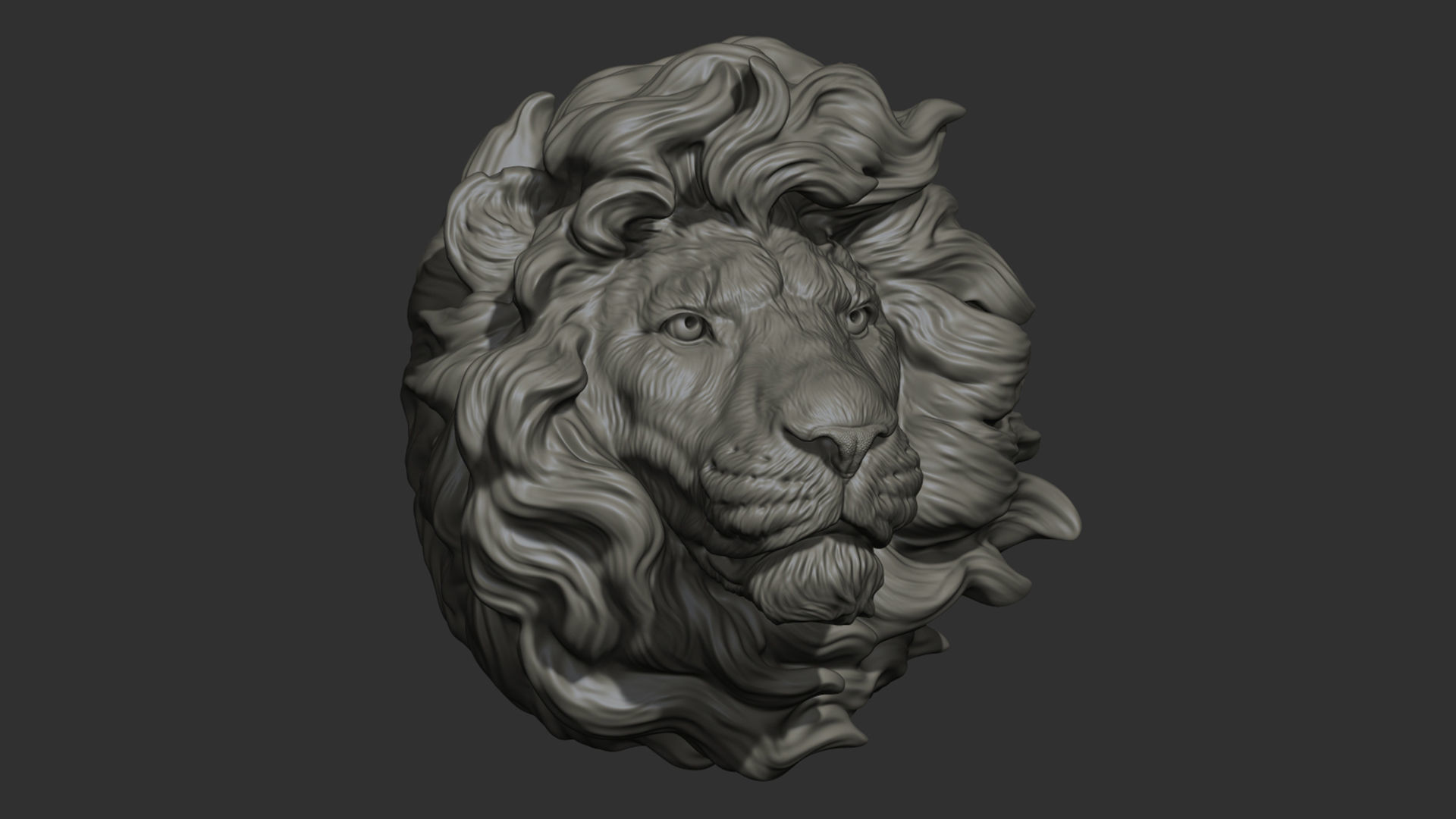 Lion head without a grin 3D print model_25