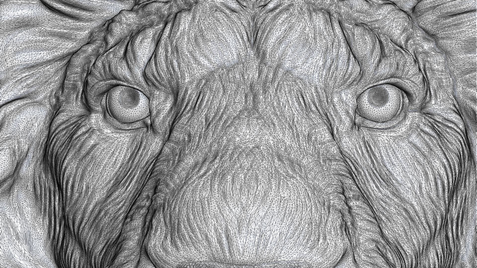 Lion head without a grin 3D print model_27