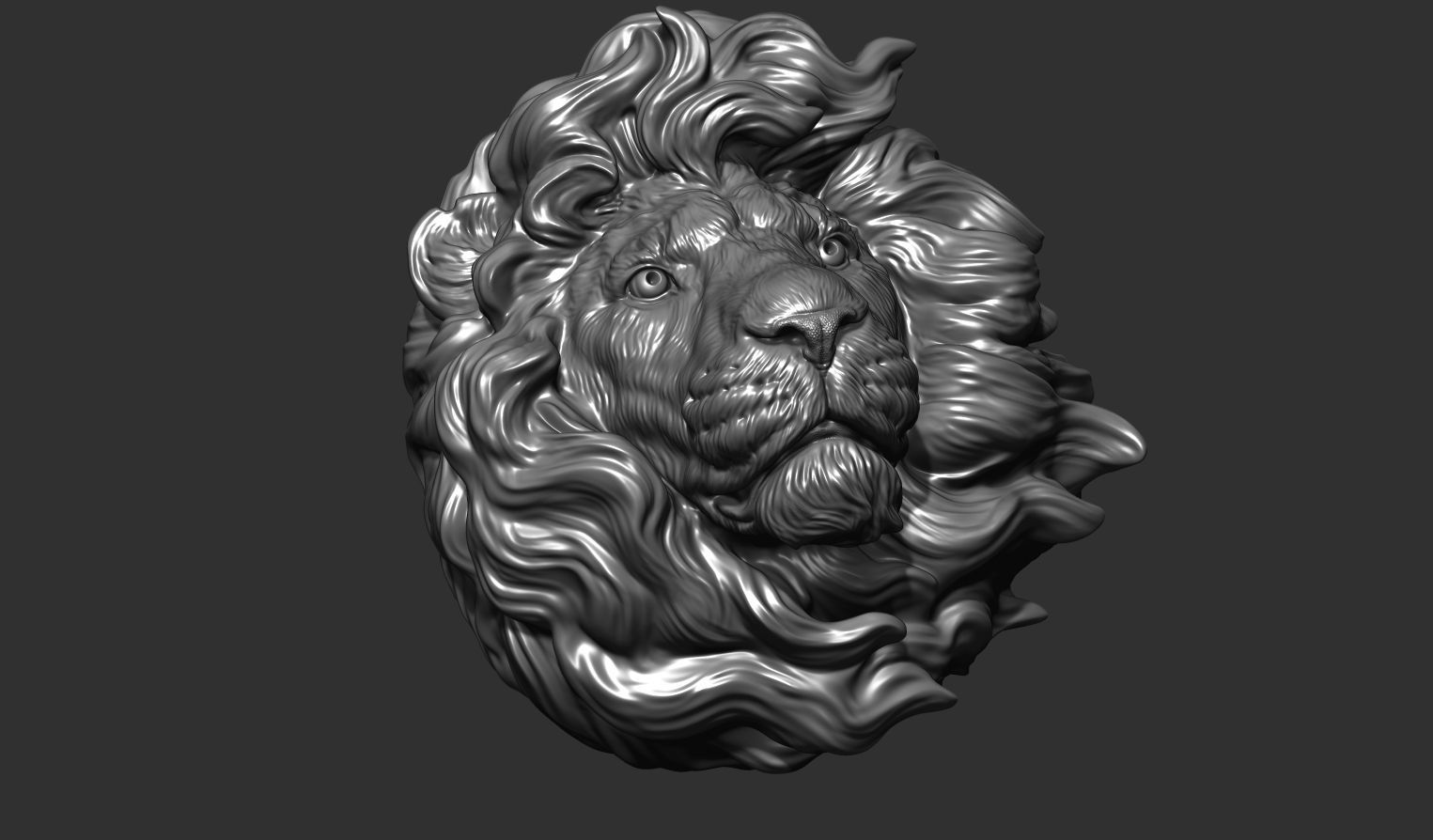 Lion head without a grin 3D print model_21