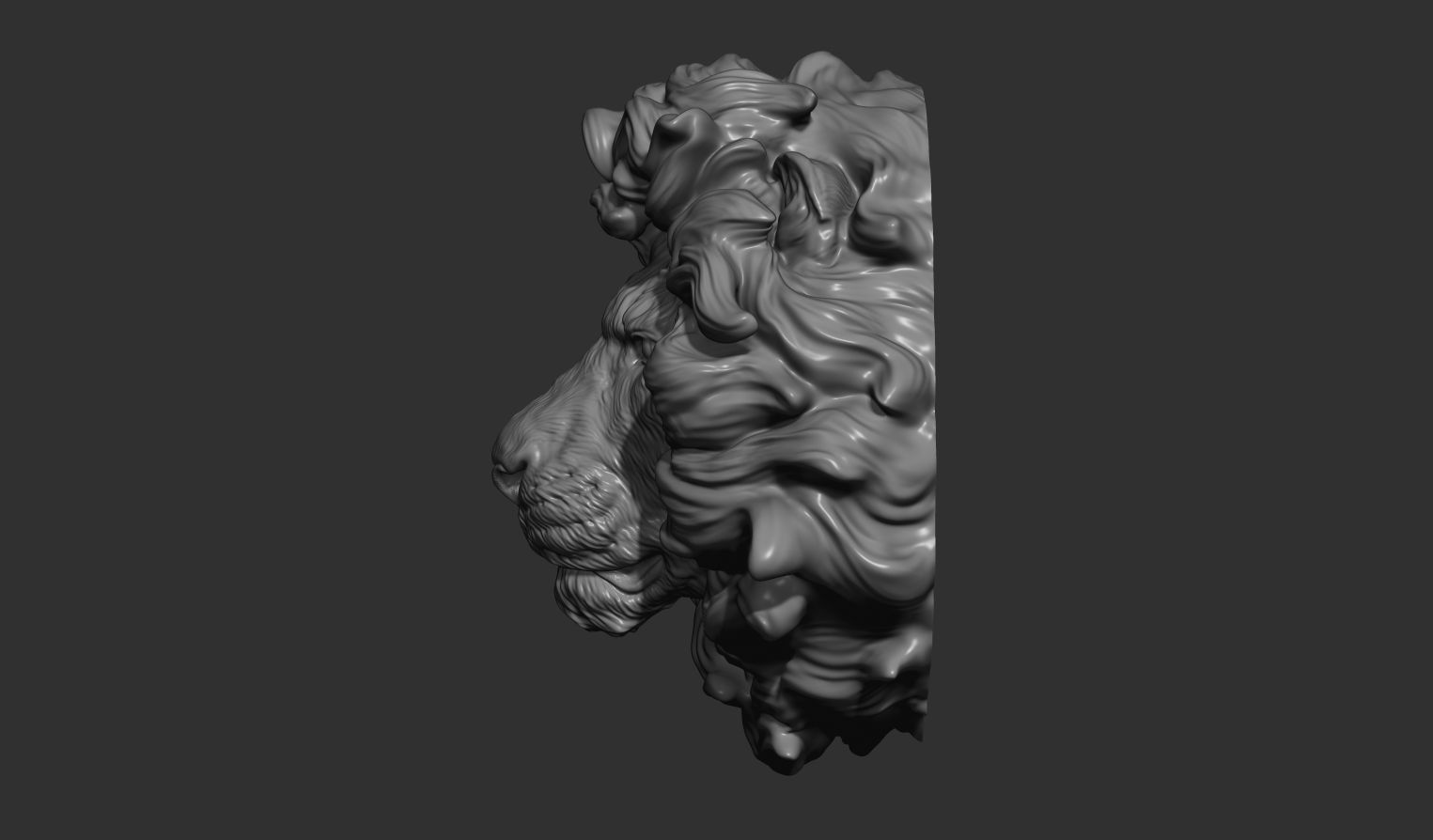 Lion head without a grin 3D print model_11