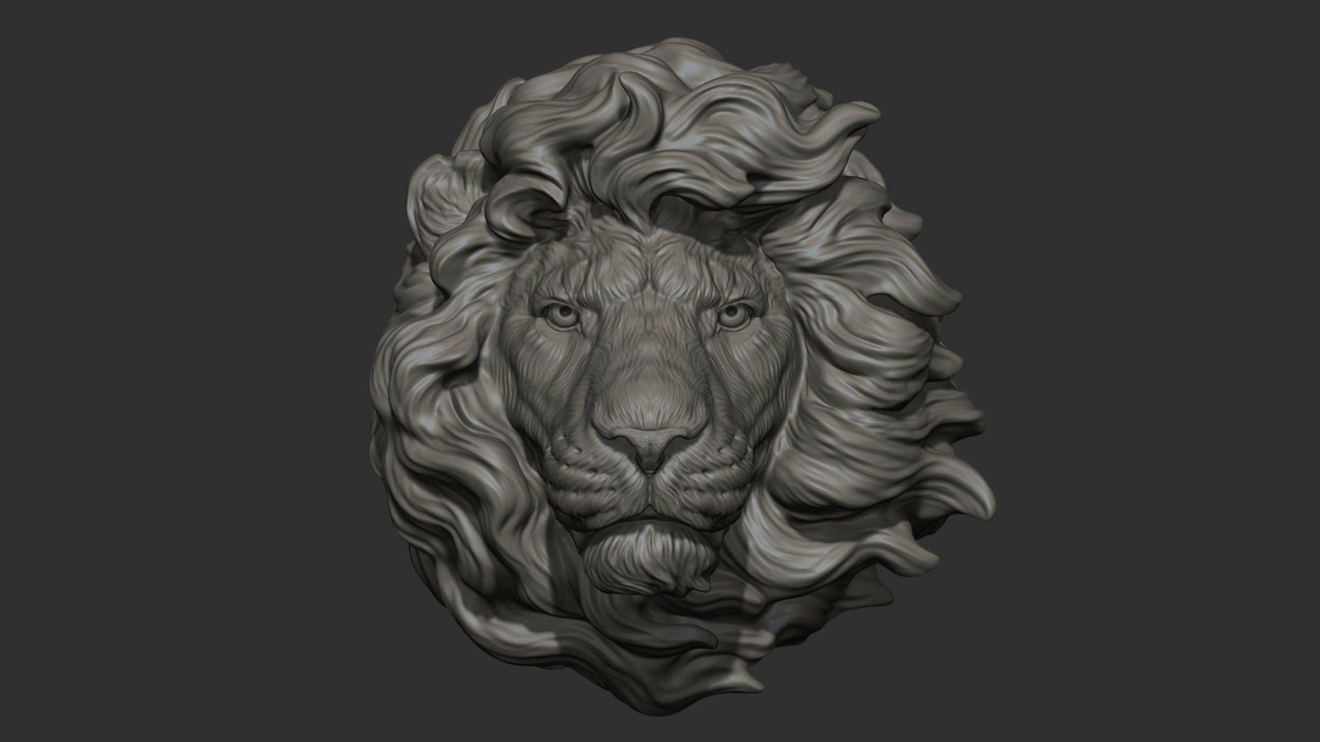 Lion head without a grin 3D print model_24