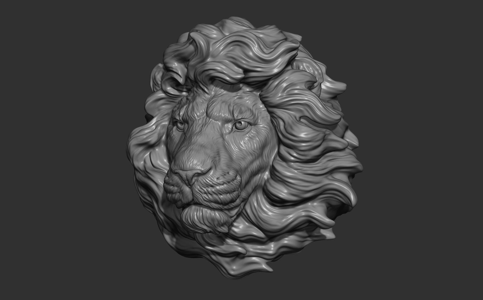 Lion head without a grin 3D print model_13
