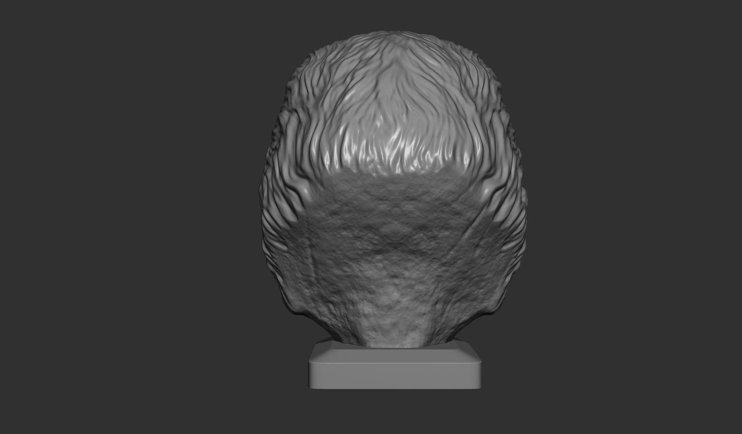 Lion bust 3D print model_2