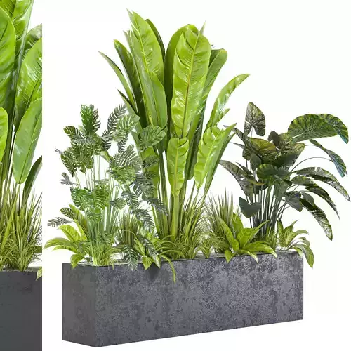 indoor plant metal box vol 22