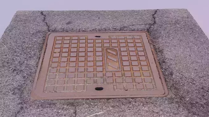 Cover manhole 06 raw scan