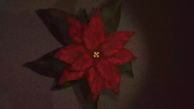 Poinsettia Flower