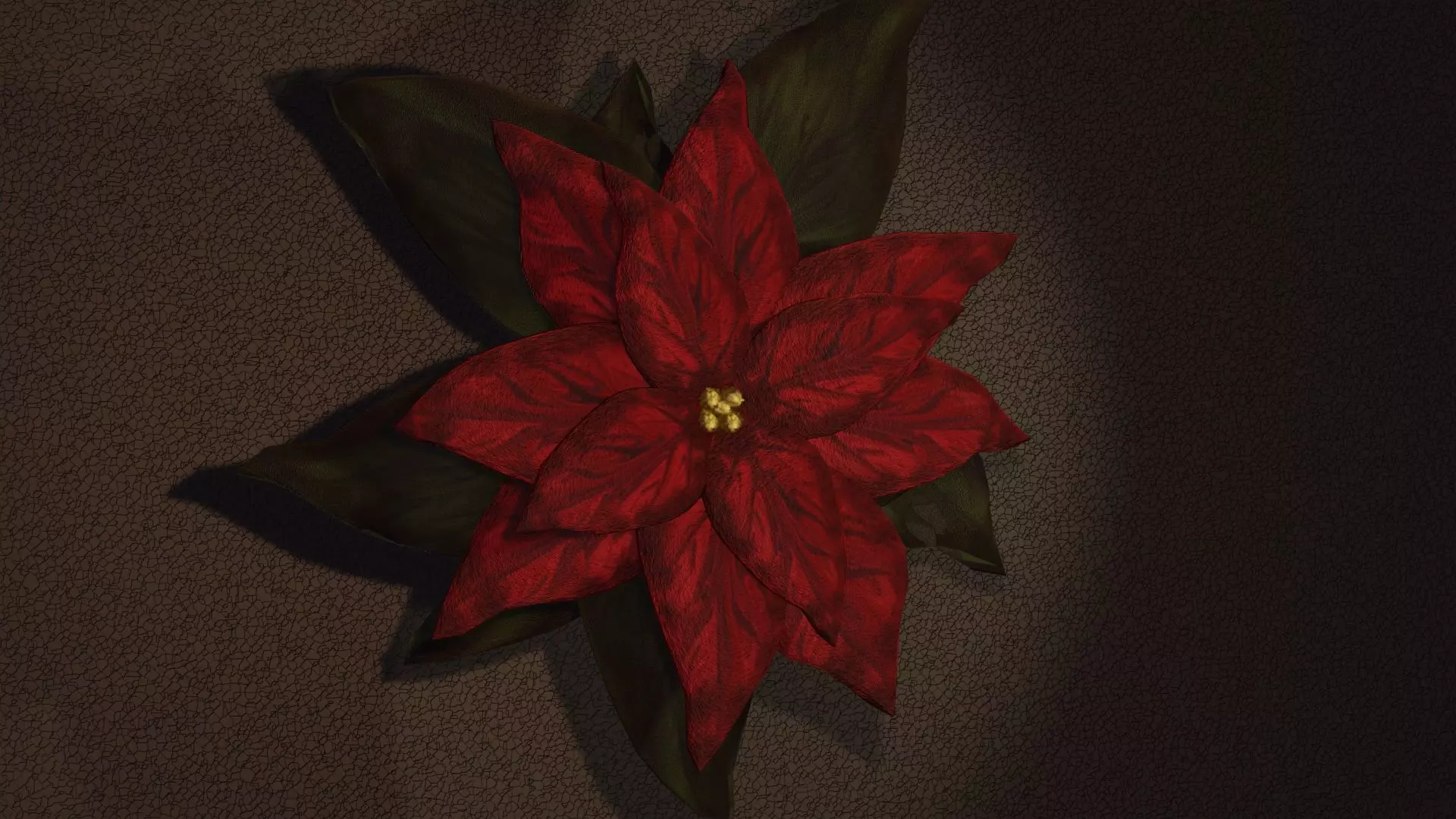 Poinsettia Flower 3D model_0