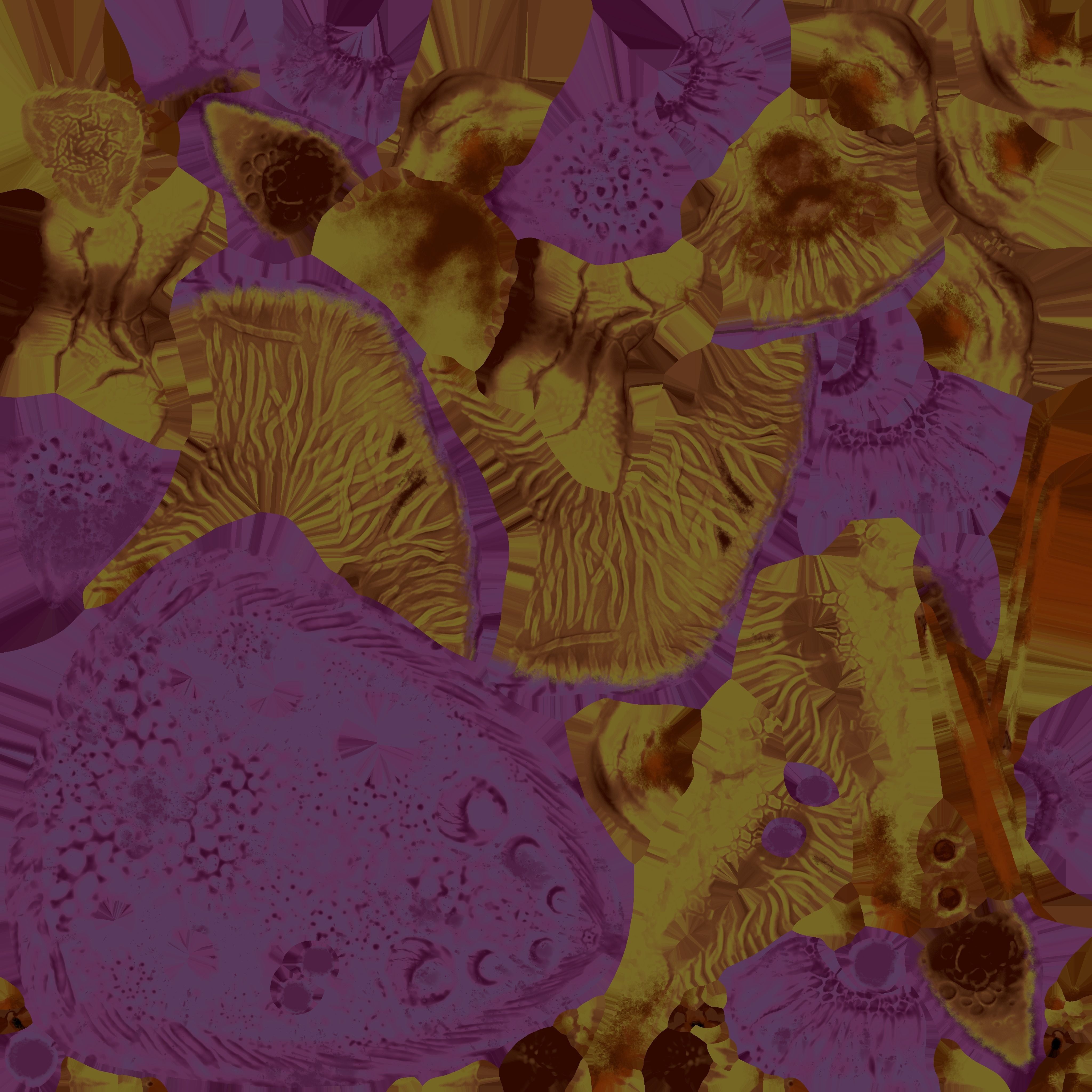 Crab the ewal Low-poly 3D model_6