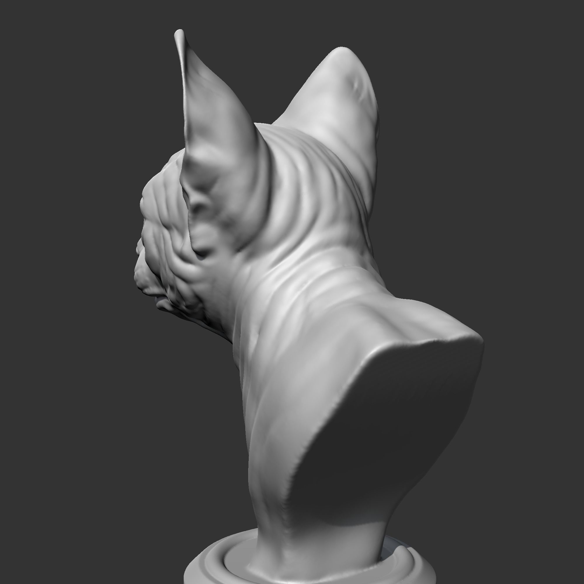 Sphynx Cat Head AM08 3D print model 3D print model_5