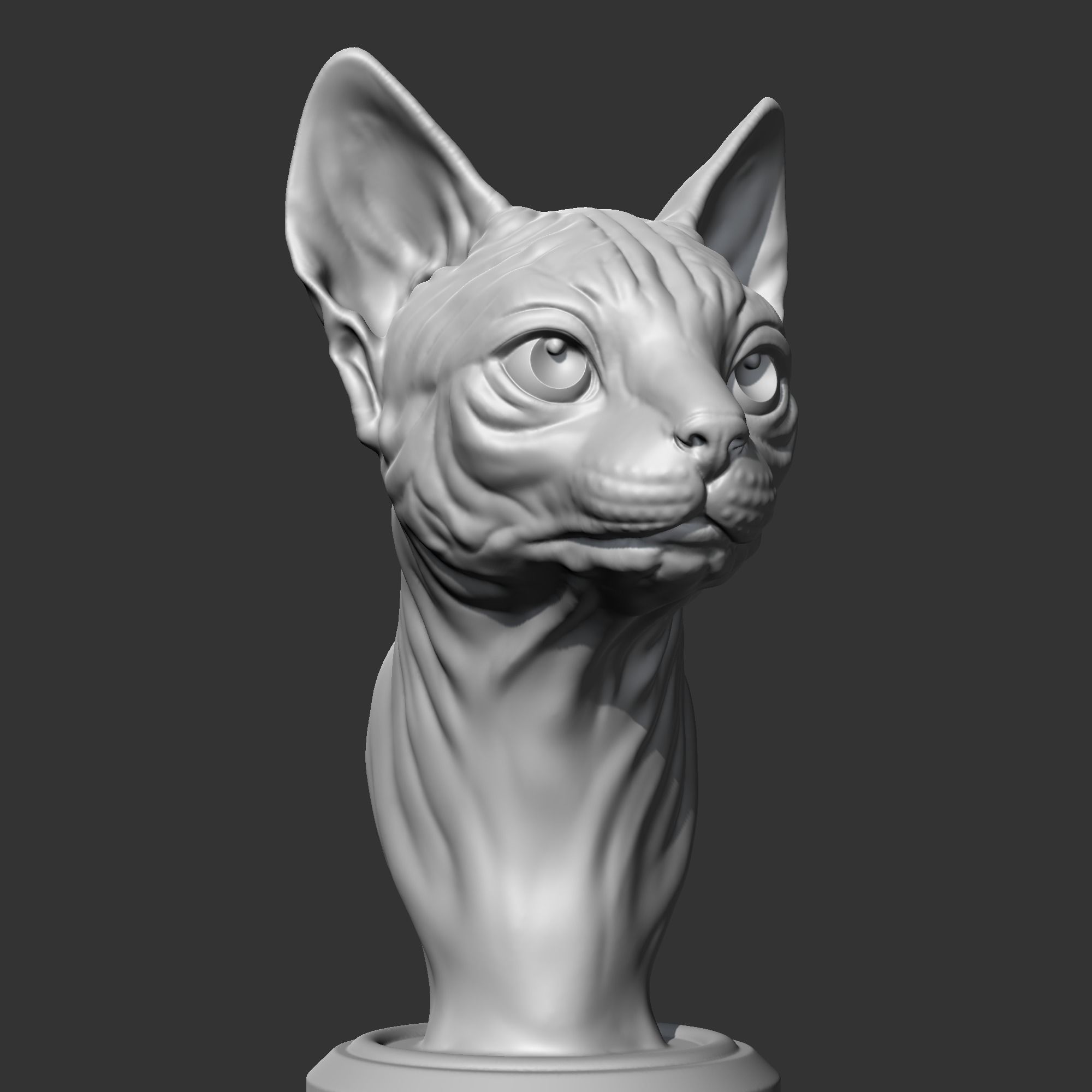Sphynx Cat Head AM08 3D print model 3D print model_9
