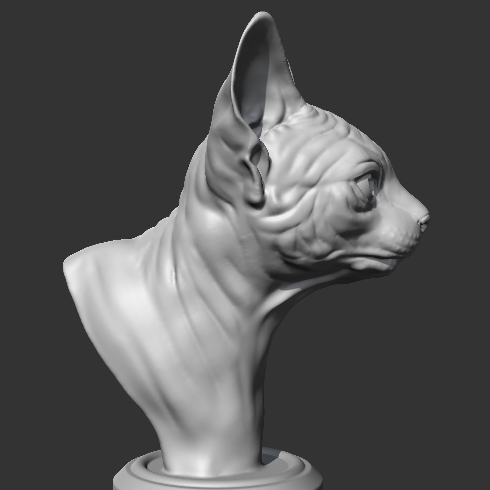 Sphynx Cat Head AM08 3D print model 3D print model_7
