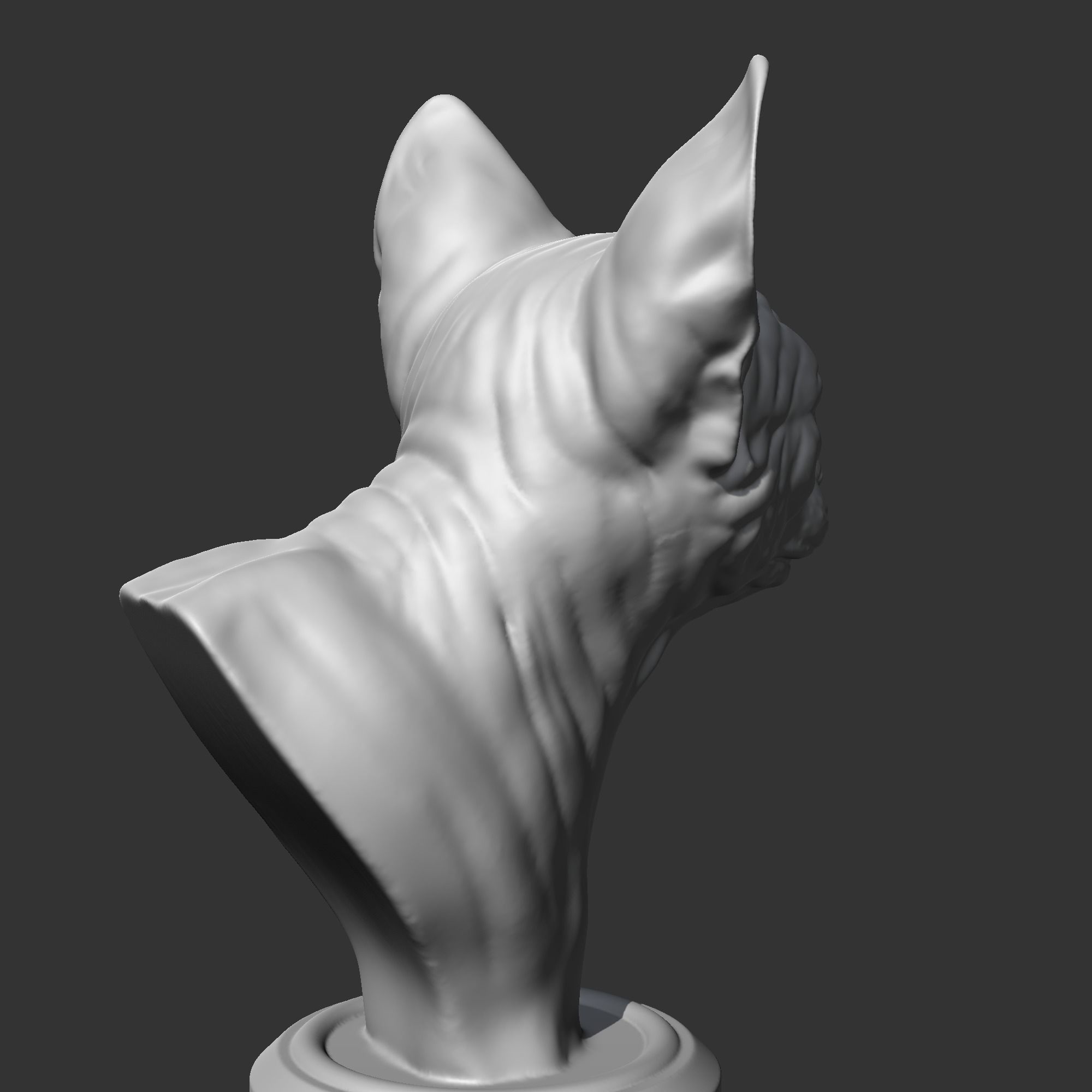 Sphynx Cat Head AM08 3D print model 3D print model_6