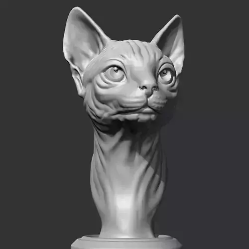 Sphynx Cat Head AM08 3D print model