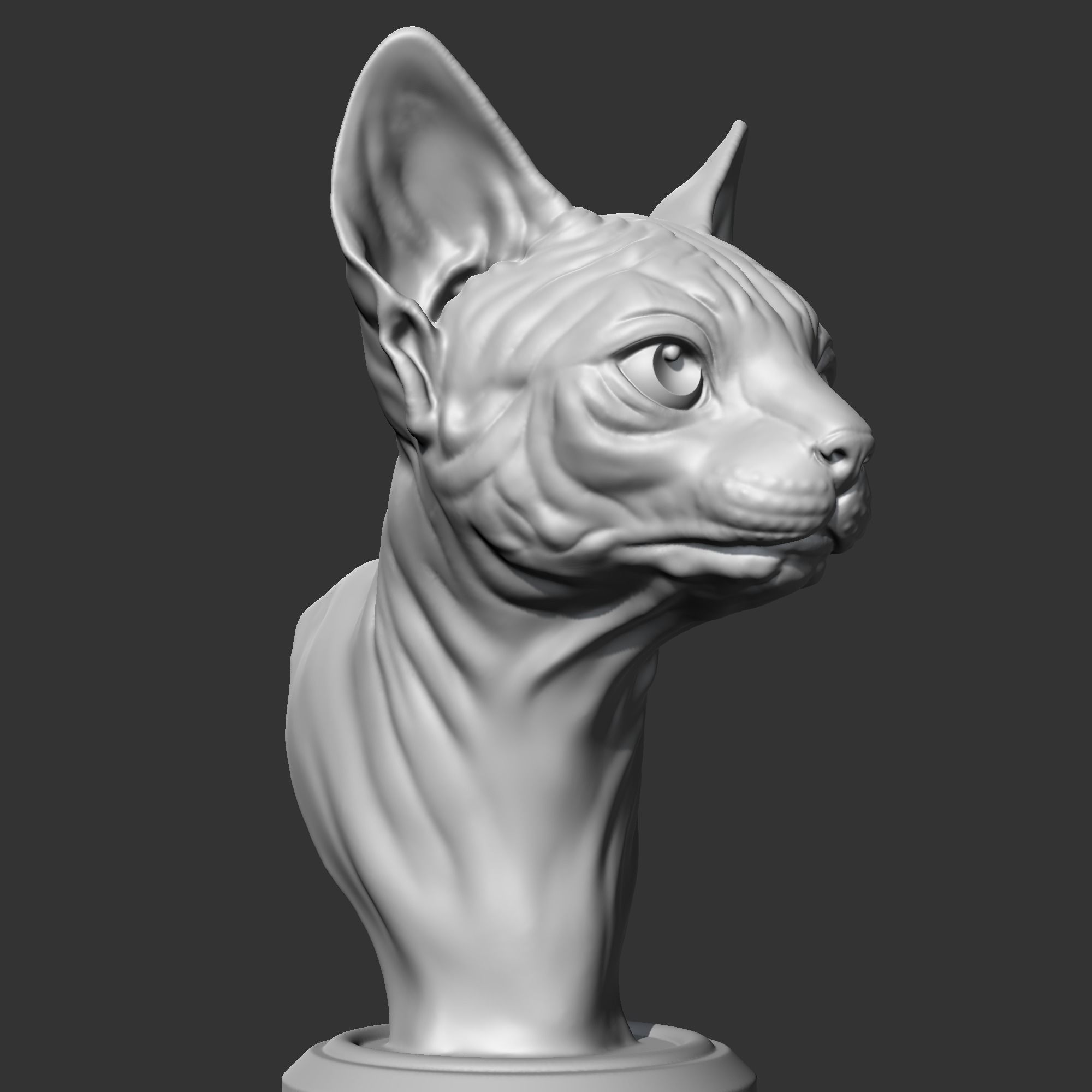 Sphynx Cat Head AM08 3D print model 3D print model_8