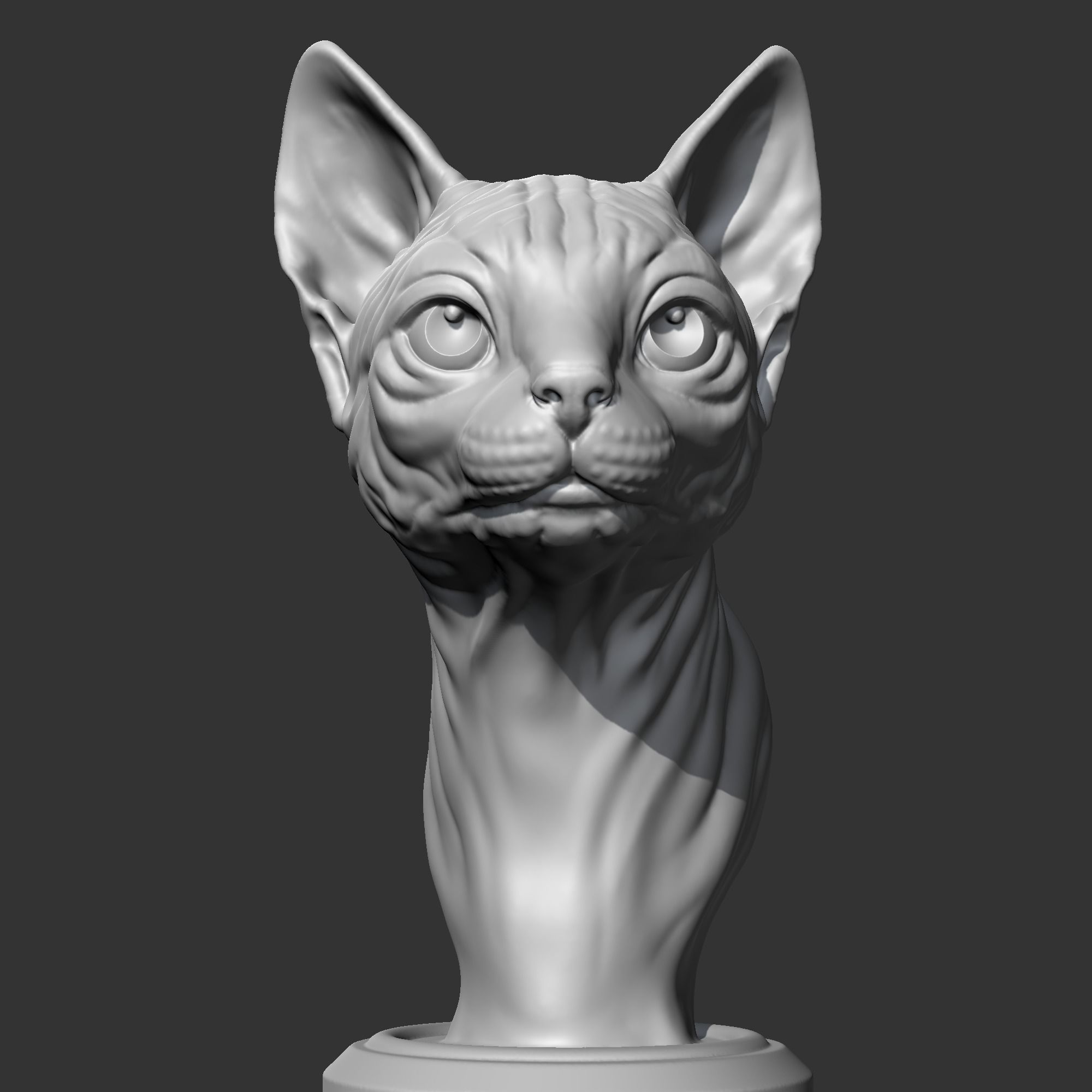 Sphynx Cat Head AM08 3D print model 3D print model_1