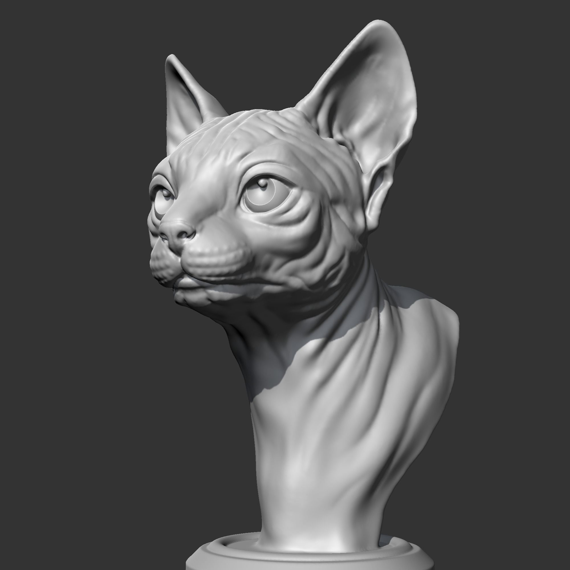 Sphynx Cat Head AM08 3D print model 3D print model_3