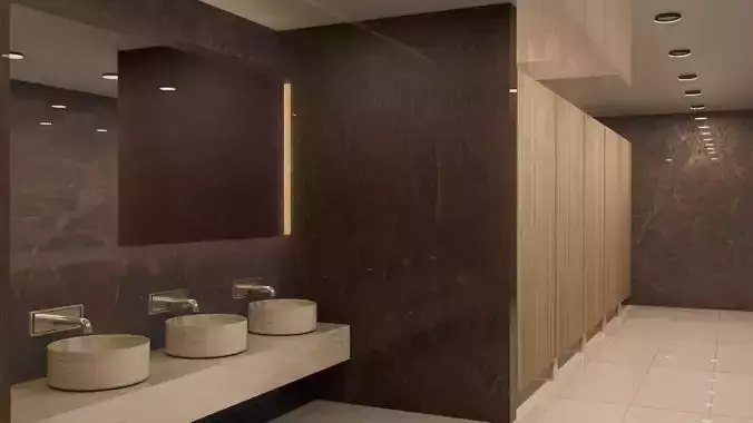 Toilet modern bathroom with marble walls and sinks