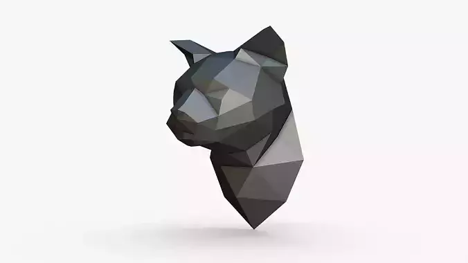 cat head