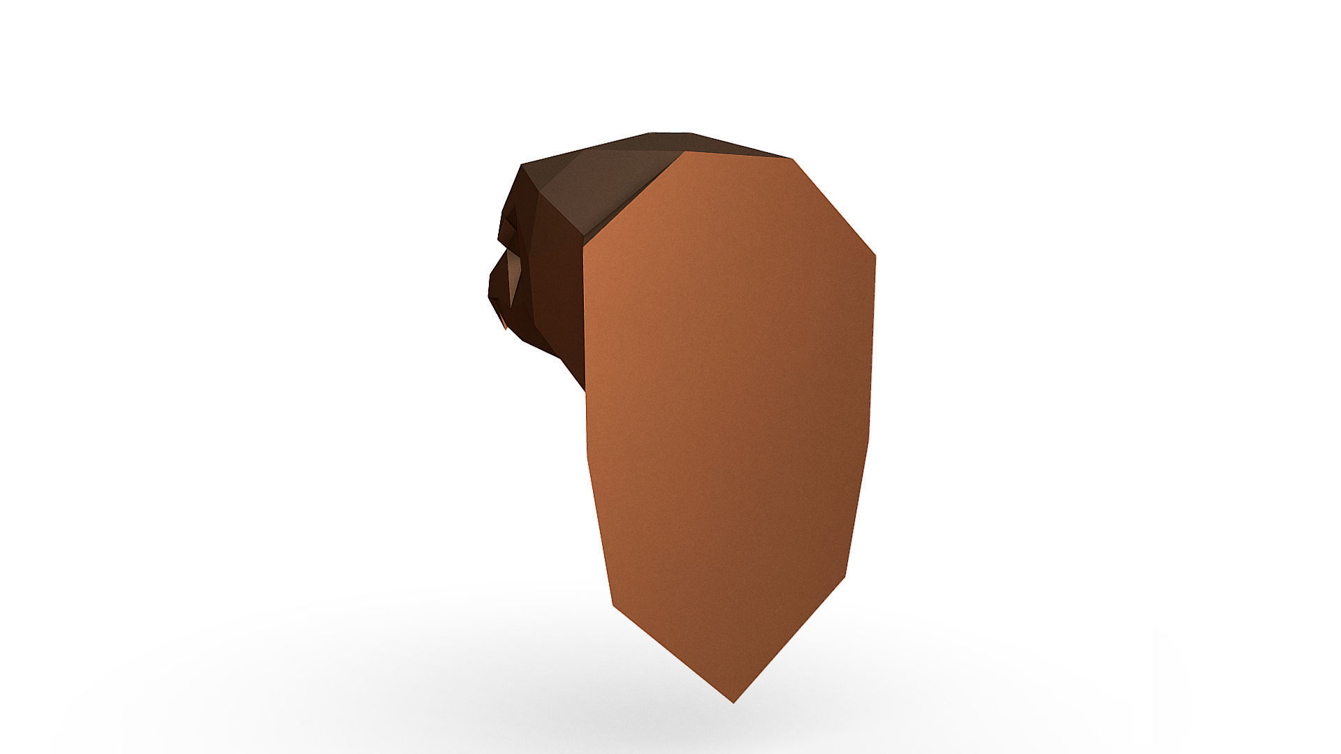 Eagle head 3D print model_4