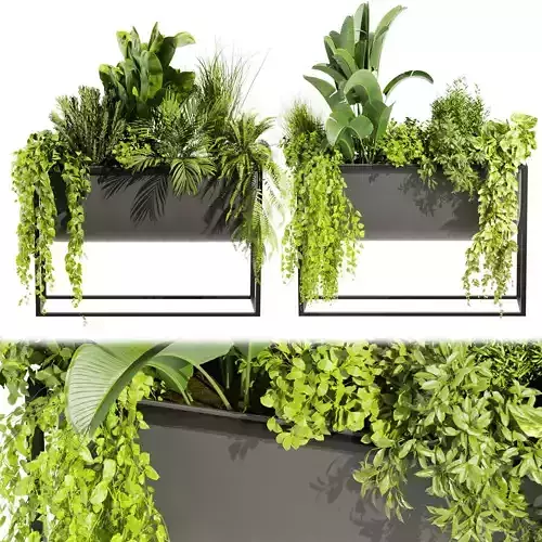 Collection plant vol 448 - grass - boxplant - palm 3D model