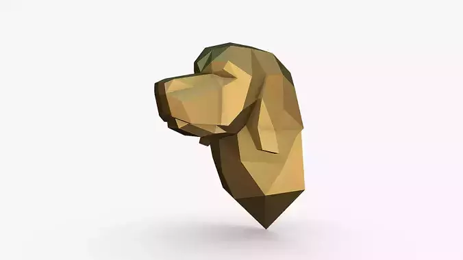 Golden retriever head