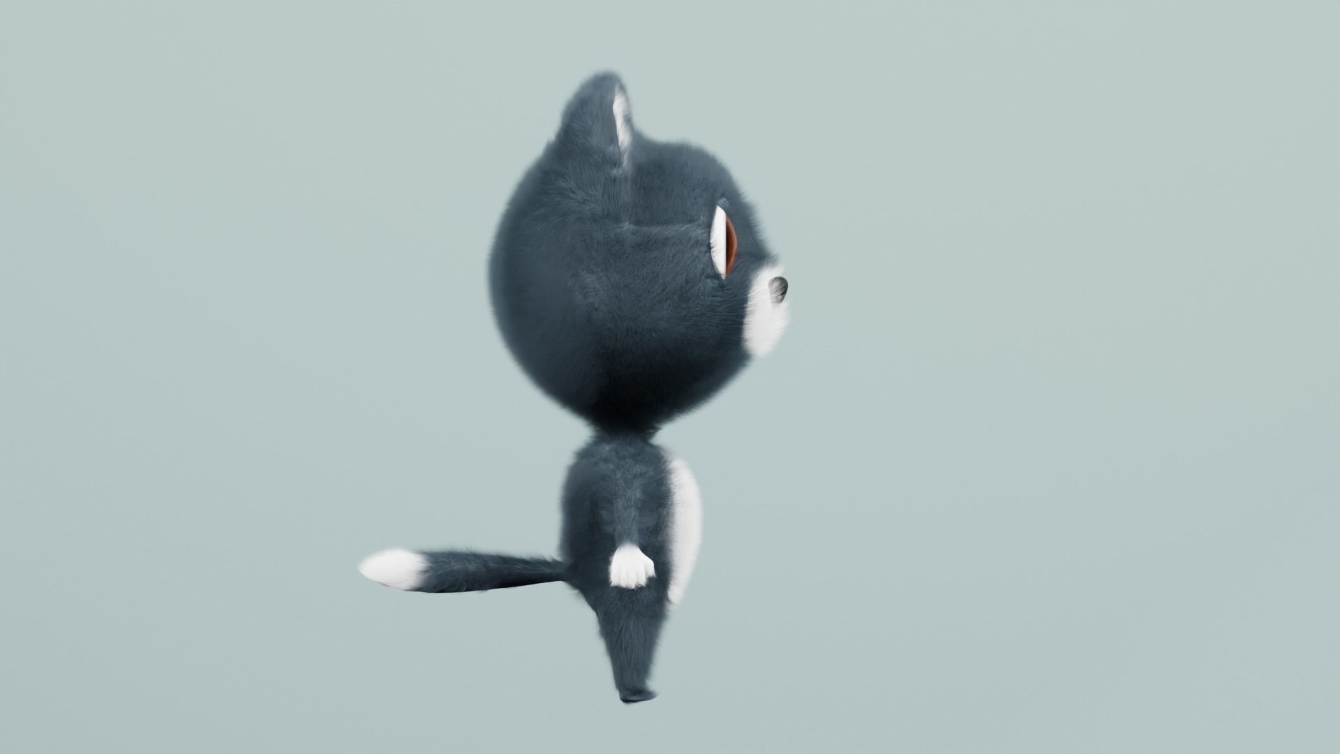 cute cartoon cat 3D model_1