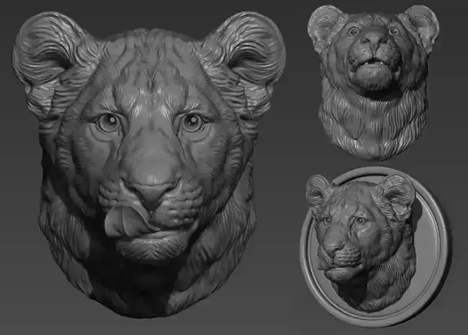 Lion cub head