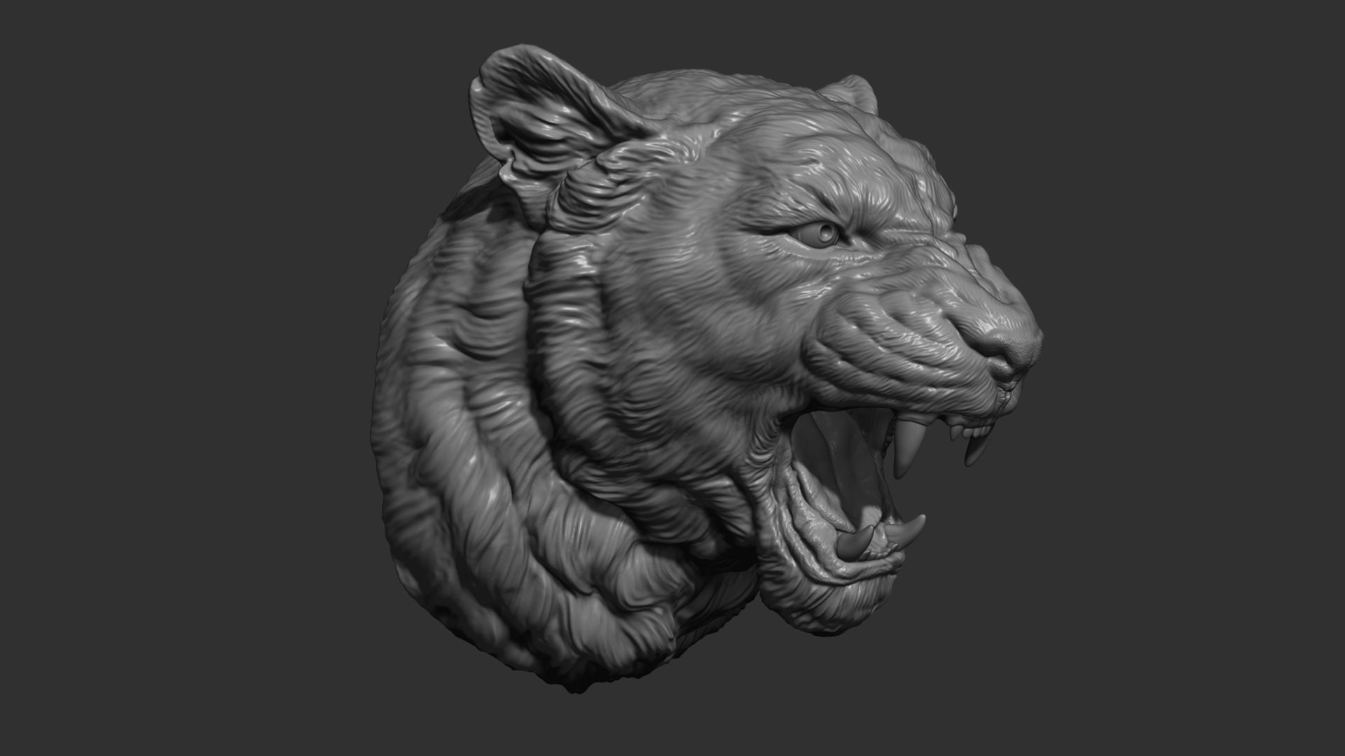 Lioness grin roar 3D print model_4
