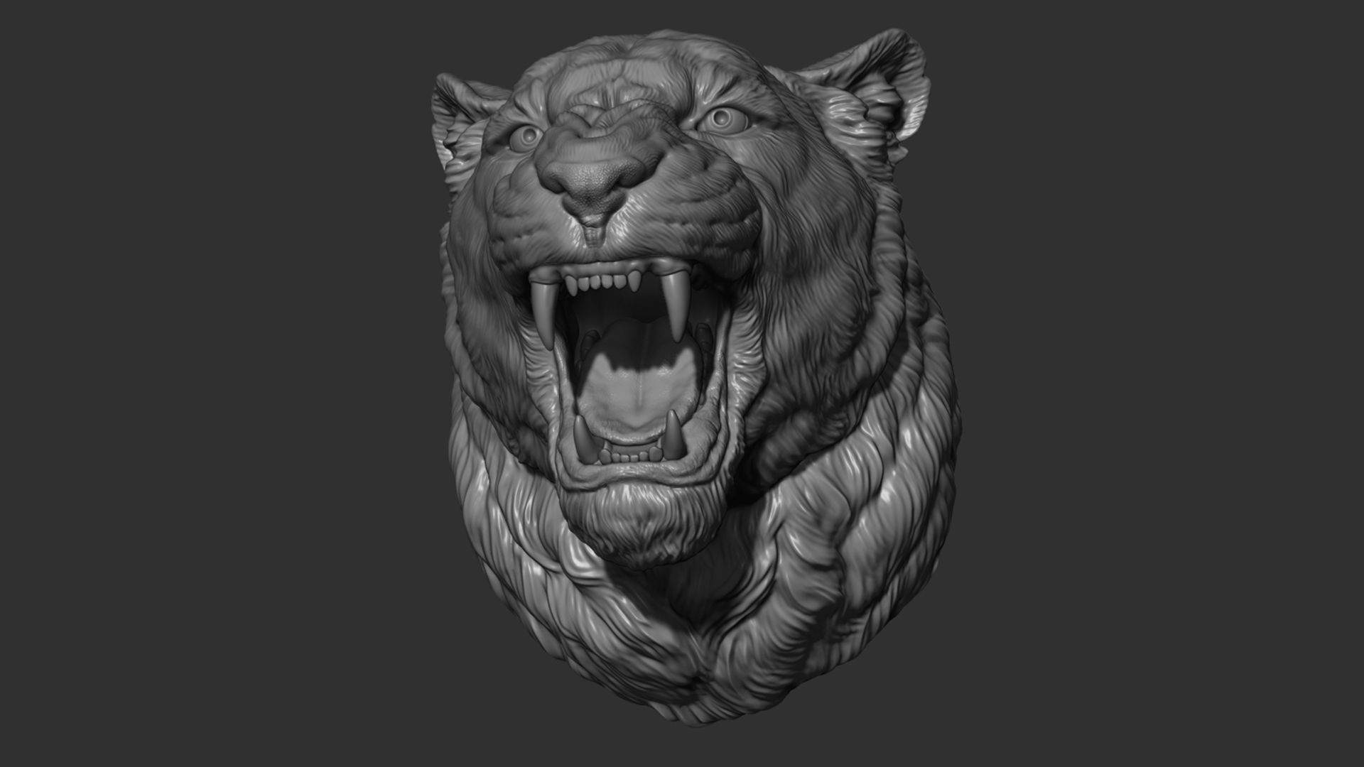 Lioness grin roar 3D print model_7
