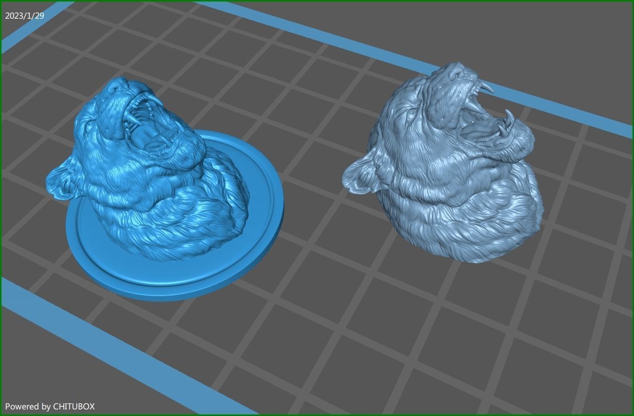 Lioness grin roar 3D print model_24