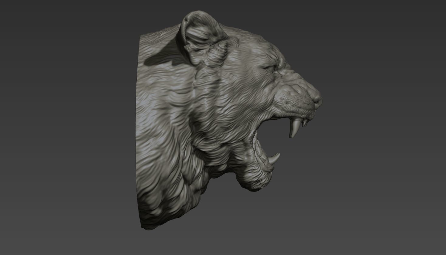 Lioness grin roar 3D print model_20