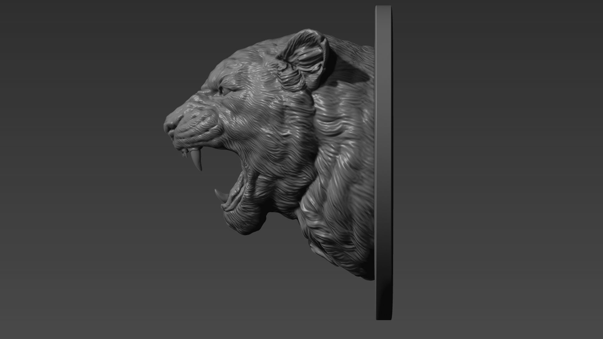 Lioness grin roar 3D print model_8