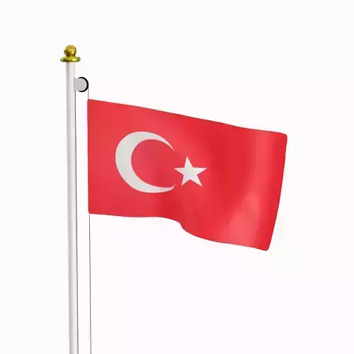 Flag of the Turkey
