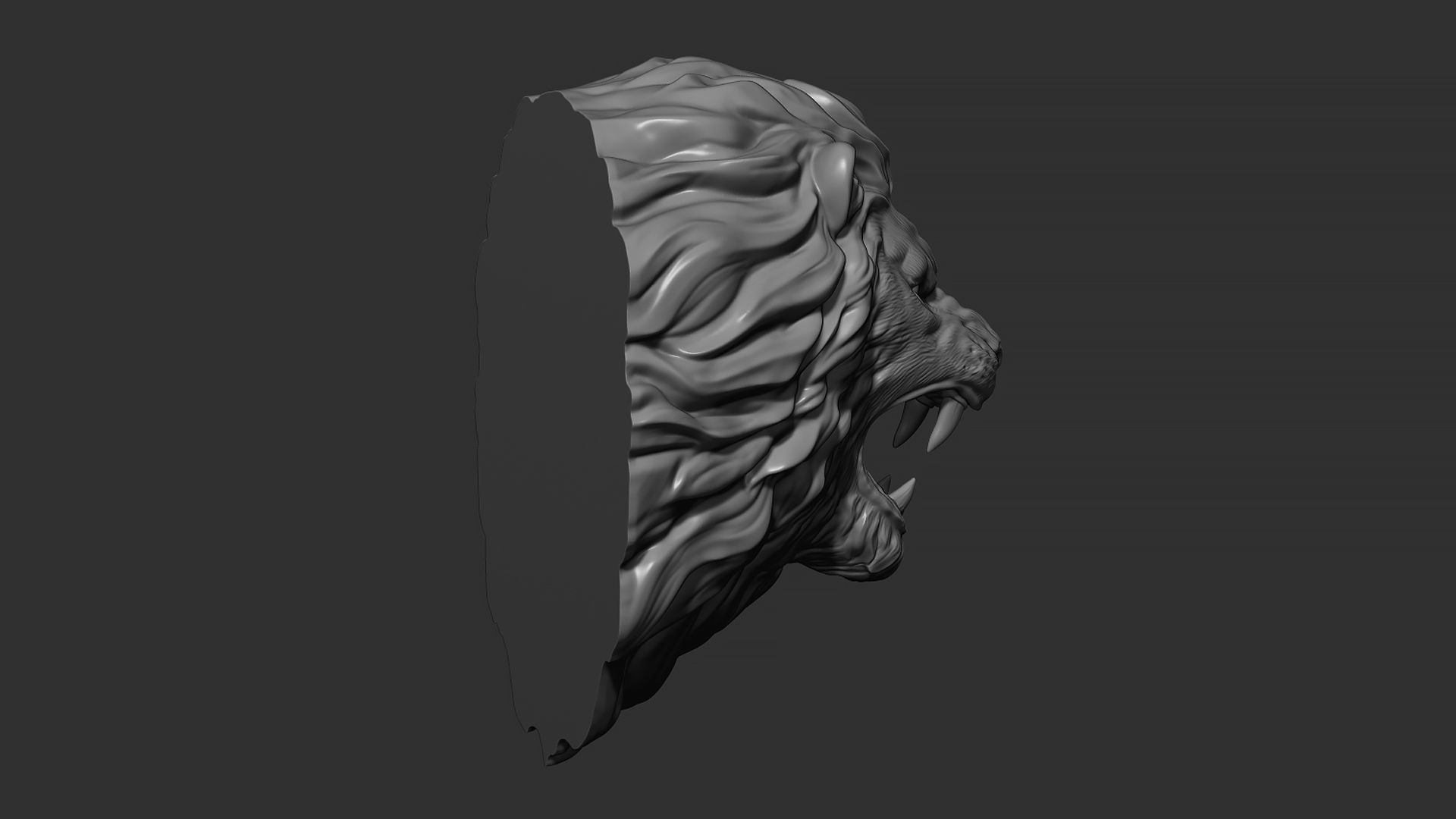 Lion Face Head 3D print model_8