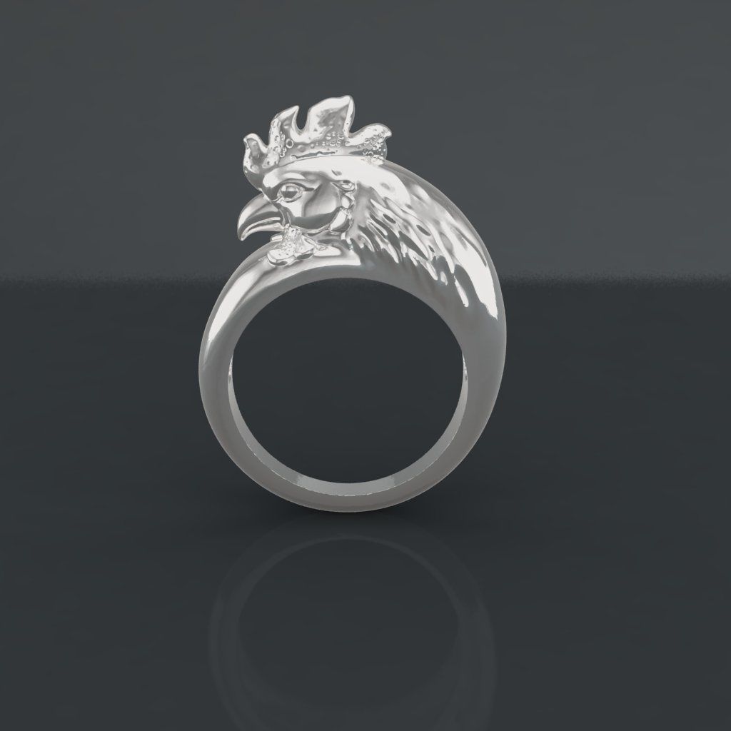 Rooter Ring 3D Model Print 3D print model_3