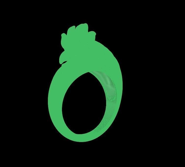 Rooter Ring 3D Model Print 3D print model_8