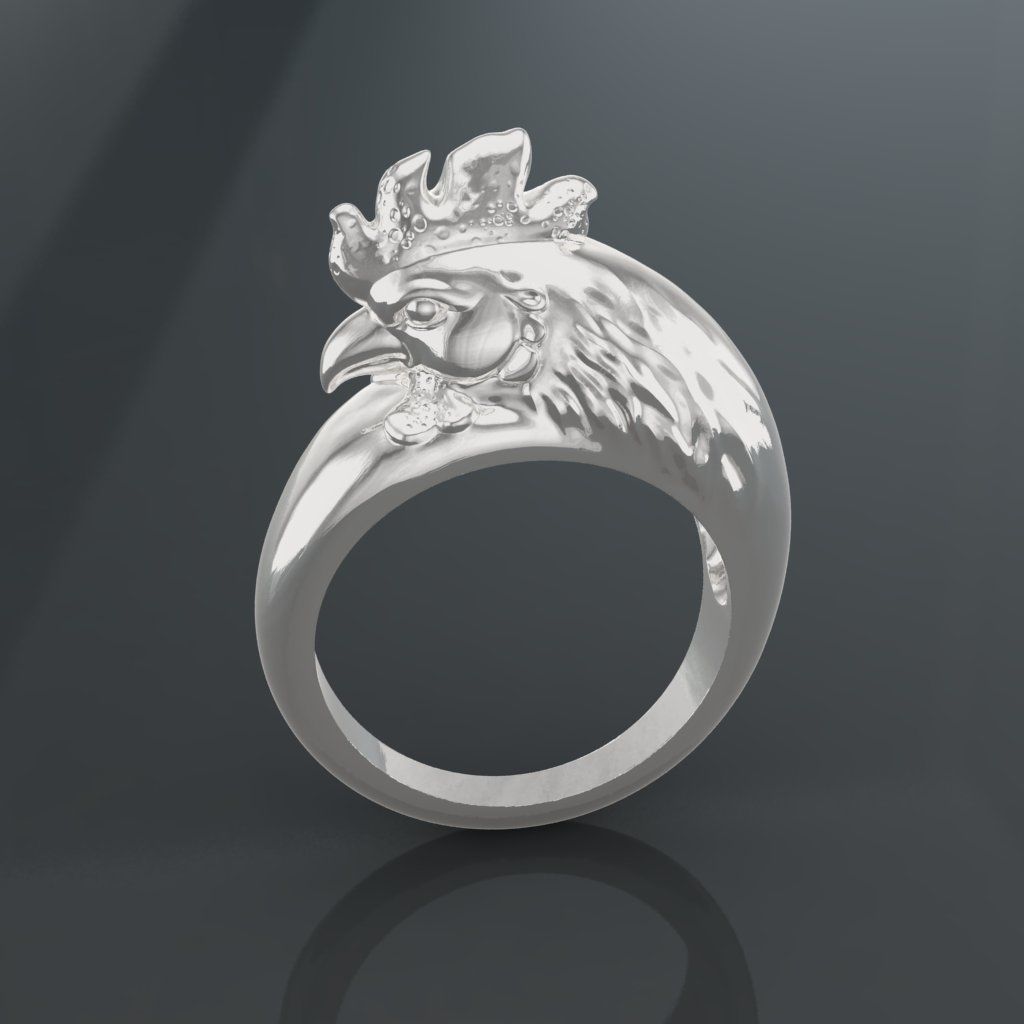 Rooter Ring 3D Model Print 3D print model_2