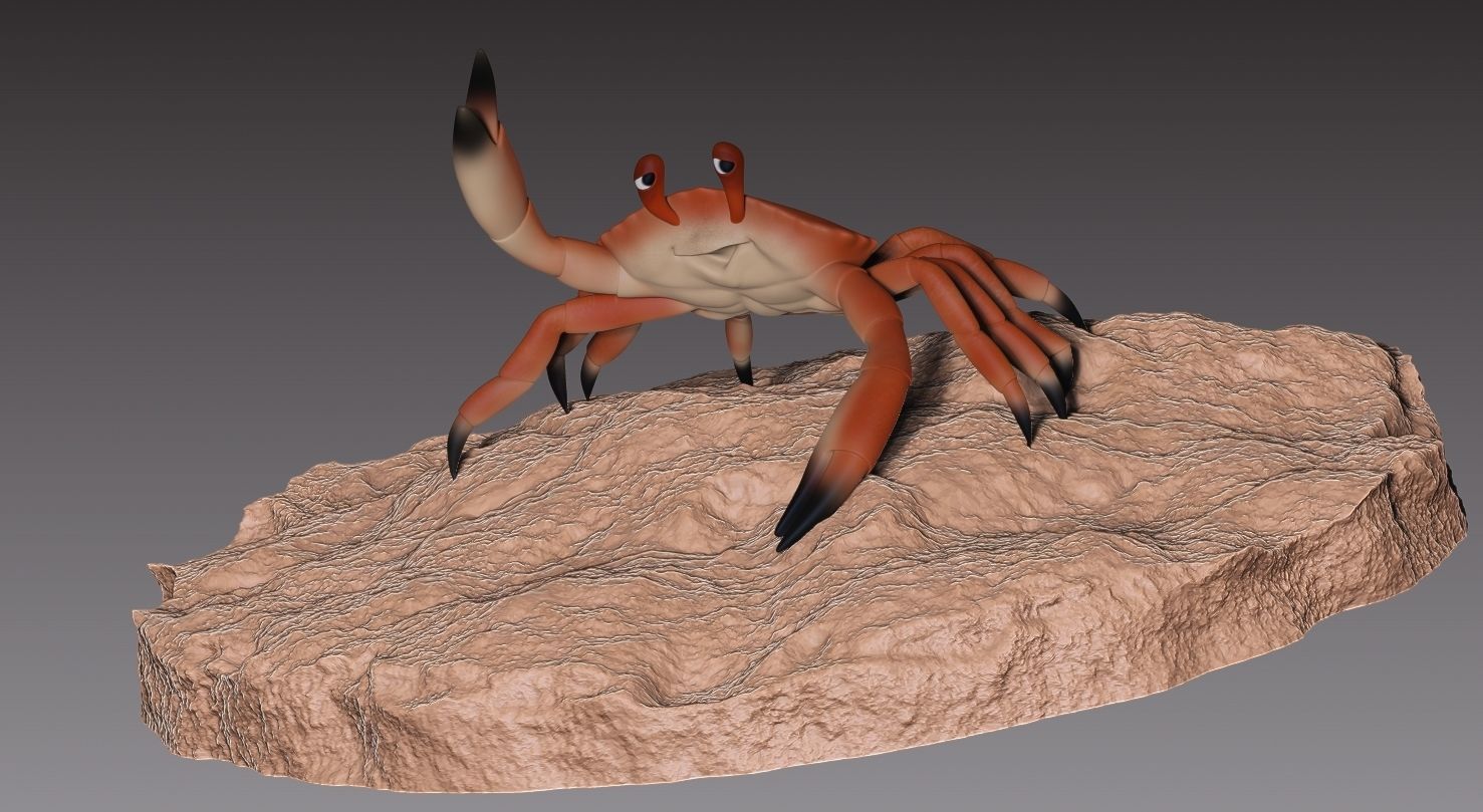 Stylized crab 3D print model_4