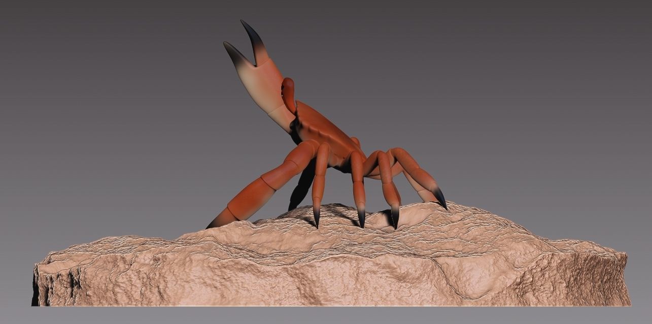 Stylized crab 3D print model_3