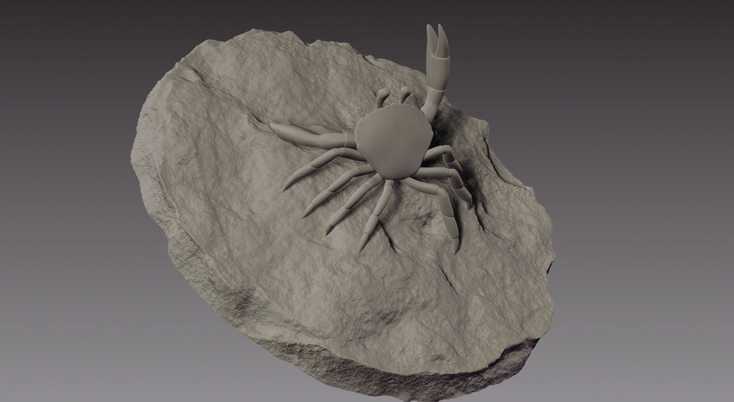 Stylized crab 3D print model_9