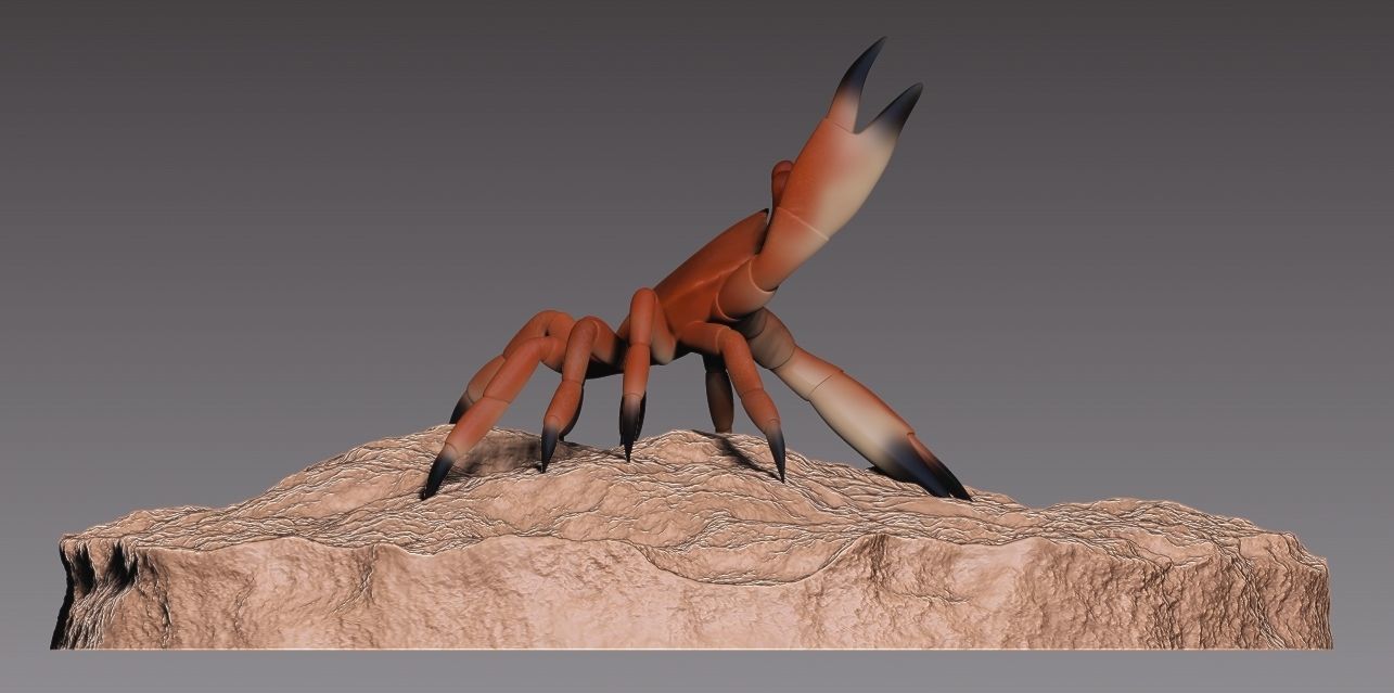 Stylized crab 3D print model_1