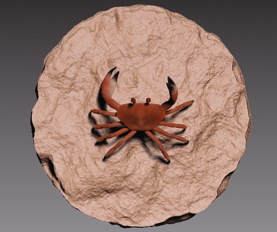 Stylized crab 3D print model_6