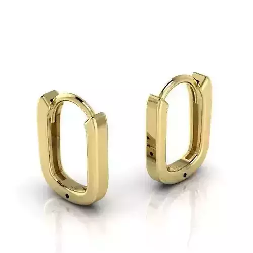 Earwires-oval Model 2917