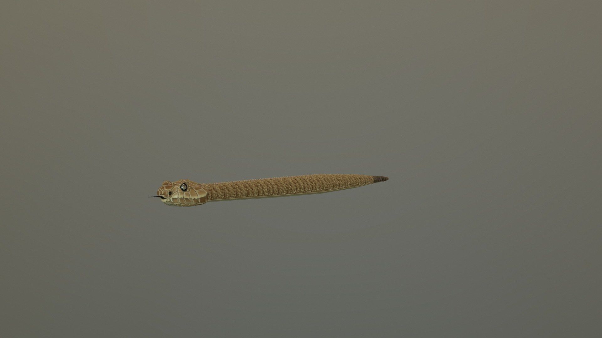 Realistic Rattlesnake Model statue of snake 3D model_16