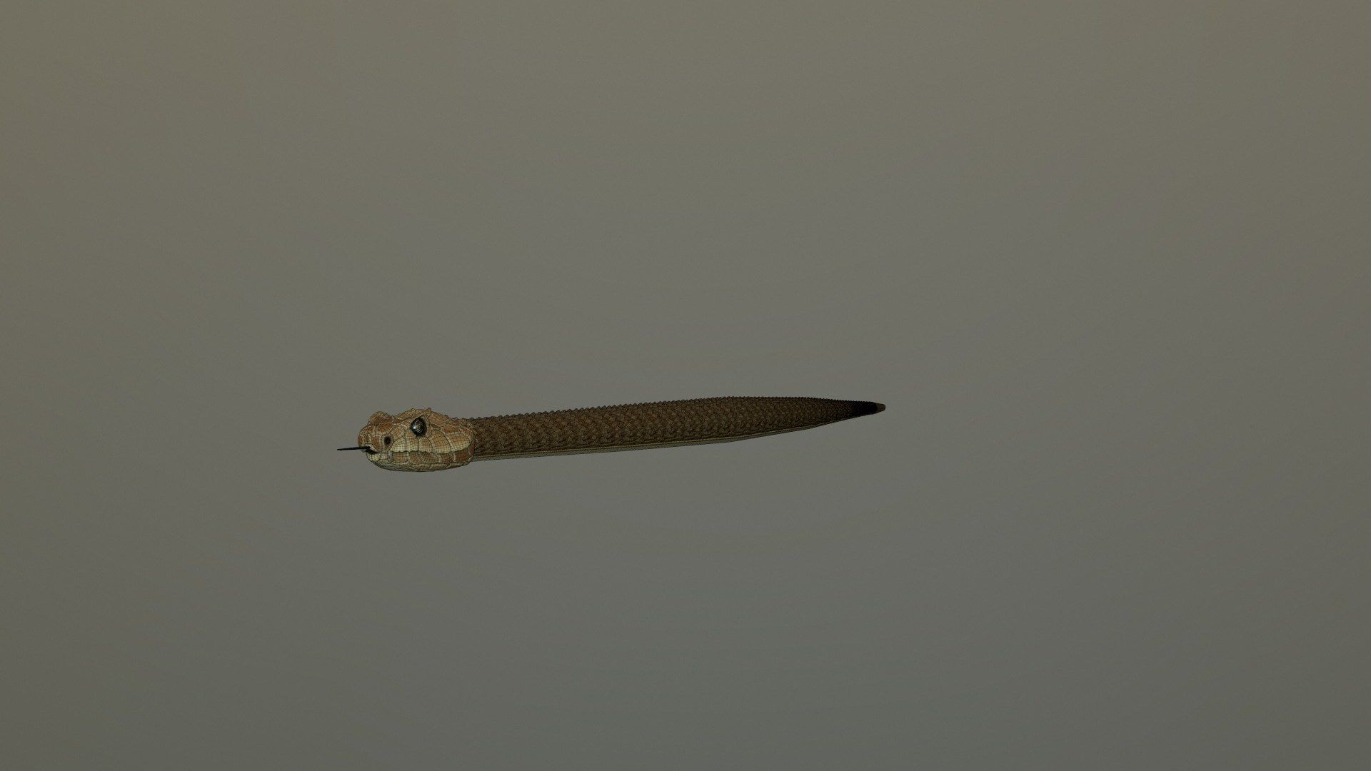 Realistic Rattlesnake Model statue of snake 3D model_17