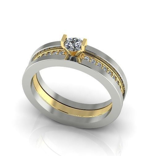 Double ring Model 2890 3D print model_1